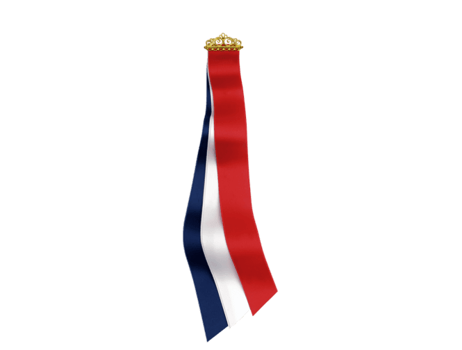 Hovedbilde 17.mai sløyfe 625650 forgylt
